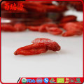 Ningxia goji goji baga fiyat goji berry faz o seu olhar mais beleza